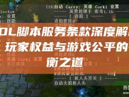 LOL脚本服务条款深度解析，玩家权益与游戏公平的平衡之道