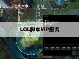 LOL脚本VIP服务的简单介绍