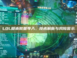 LOL脚本批量导入，技术解析与风险警示