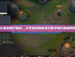 LOL脚本用户协议，公平竞技的底线与数字时代的规则博弈