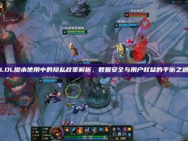 LOL脚本使用中的隐私政策解析，数据安全与用户权益的平衡之道