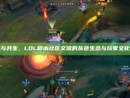 破壁与共生，LOL脚本社区交流的灰色生态与玩家文化博弈