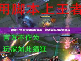 揭露LOL脚本辅助网真相，技术解析与风险警示