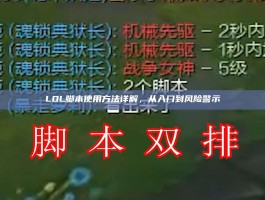 LOL脚本使用方法详解，从入门到风险警示