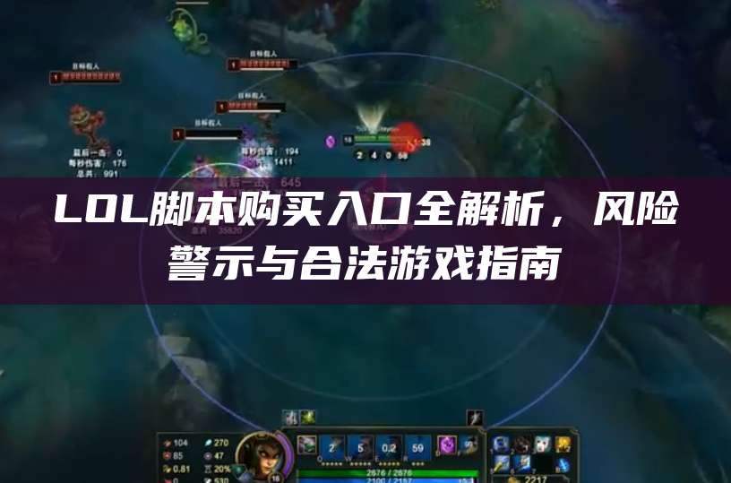 LOL脚本购买入口全解析,风险警示与合法游戏指南