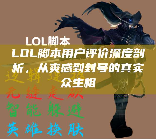 LOL脚本用户评价深度剖析,从爽感到封号的真实众生相