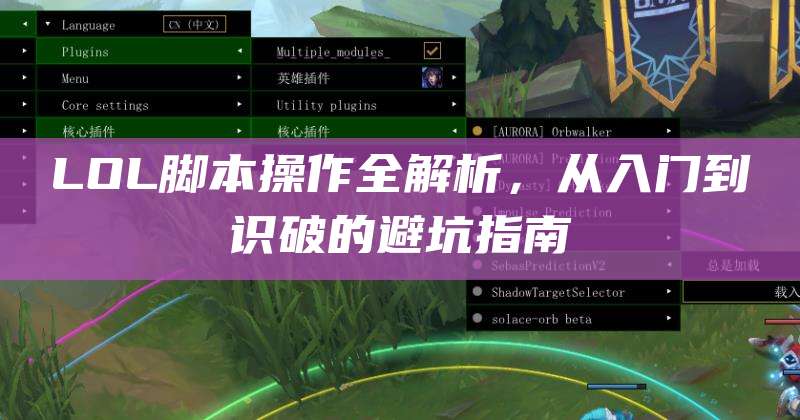 LOL脚本操作全解析,从入门到识破的避坑指南