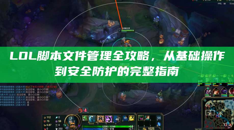 LOL脚本文件管理全攻略,从基础操作到安全防护的完整指南