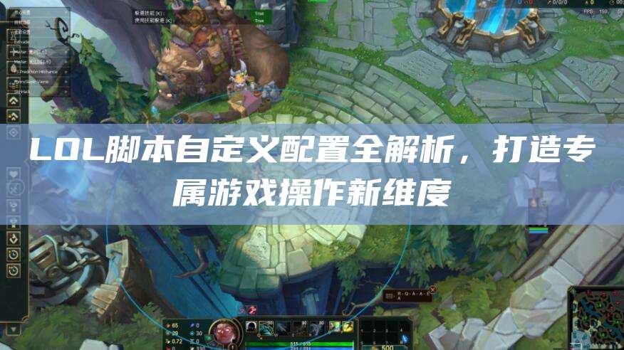 LOL脚本自定义配置全解析,打造专属游戏操作新维度