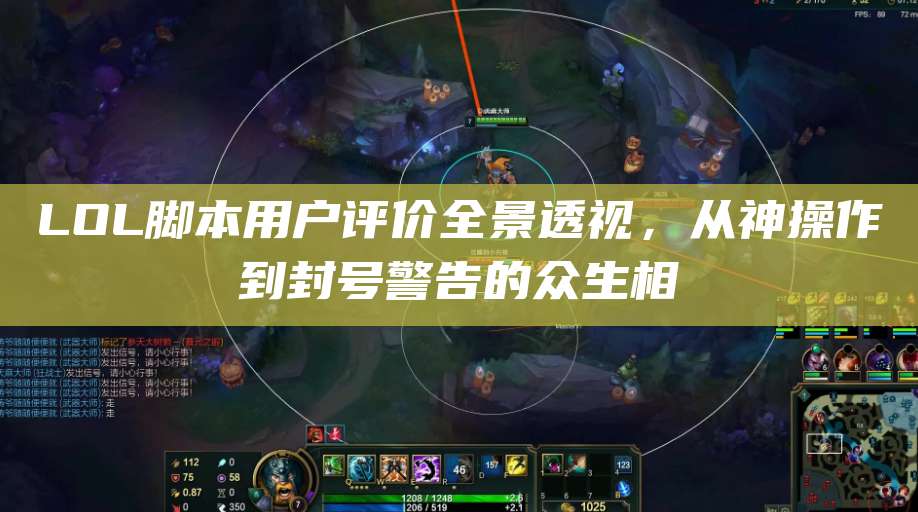 LOL脚本用户评价全景透视,从神操作到封号警告的众生相