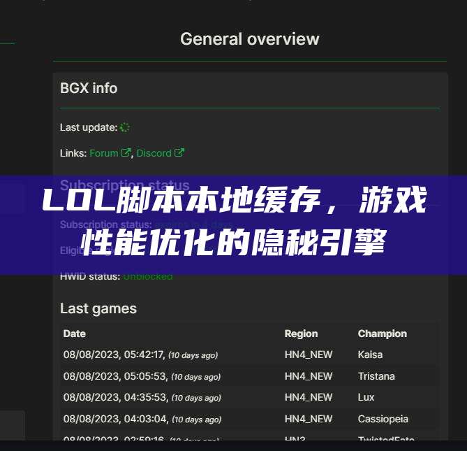 LOL脚本本地缓存,游戏性能优化的隐秘引擎
