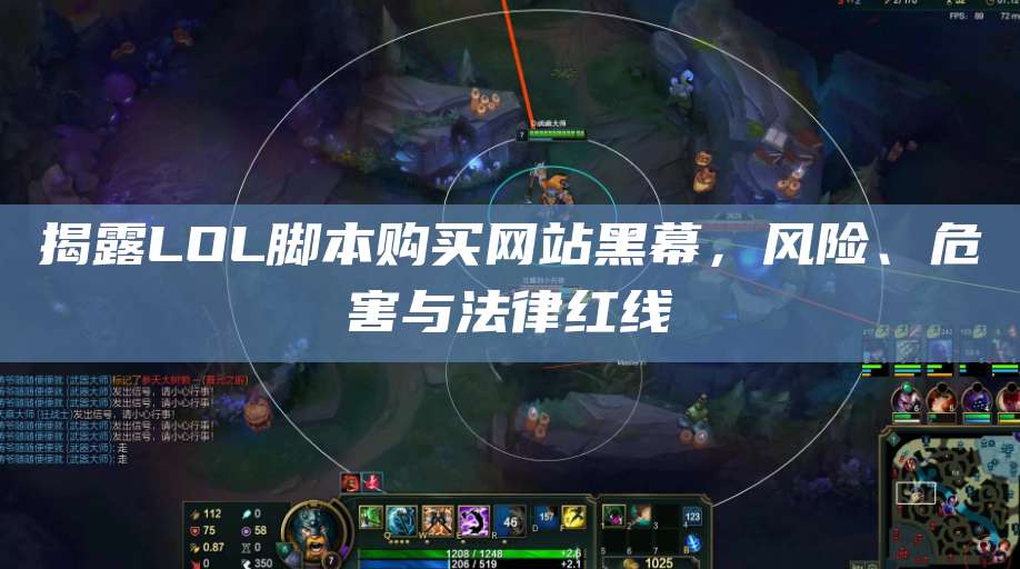 揭露LOL脚本购买网站黑幕,风险、危害与法律红线